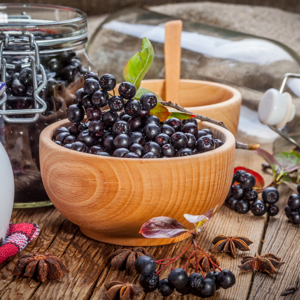 Boost Your Immunity with Our Elderberry Tincture