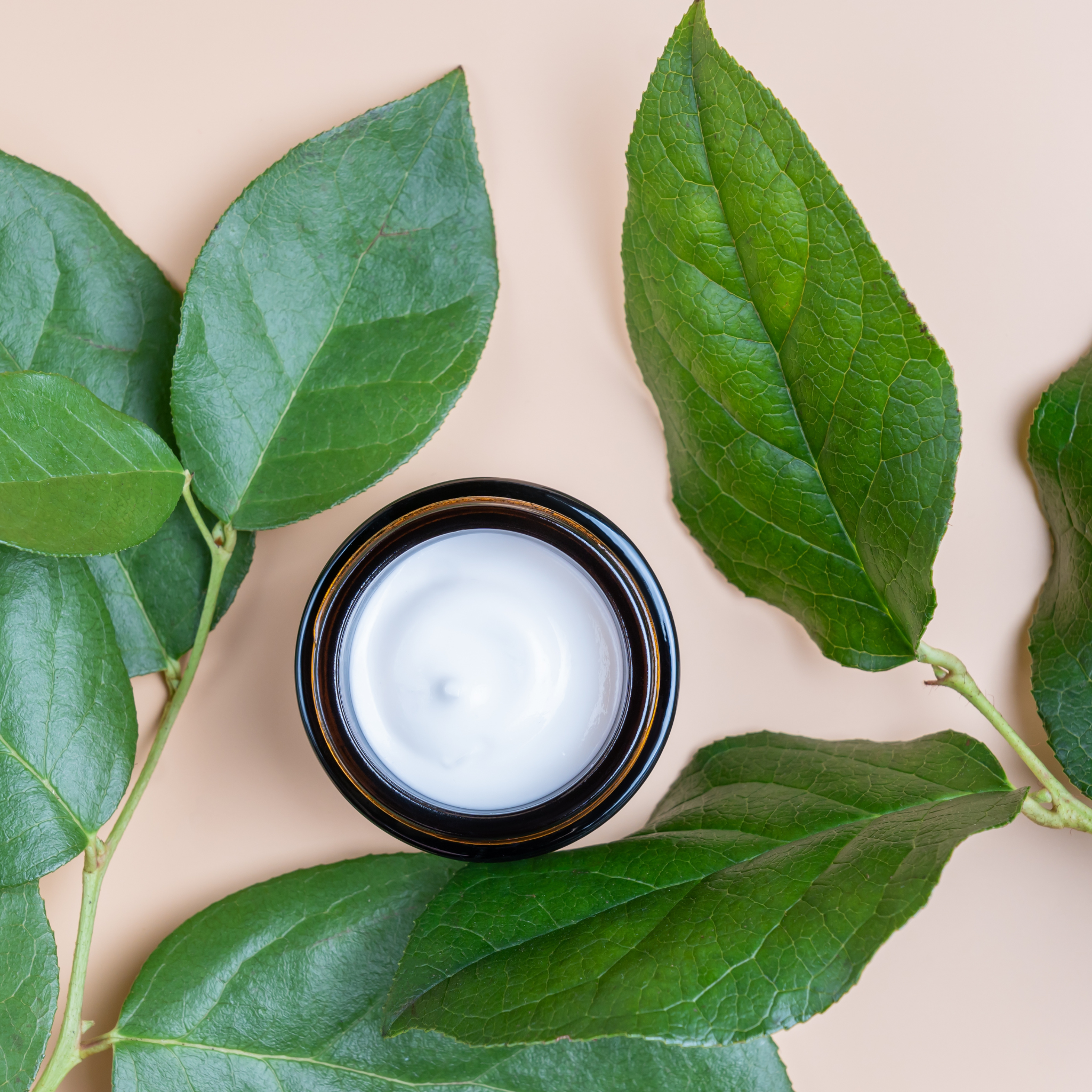 Tree of Life Shea Butter