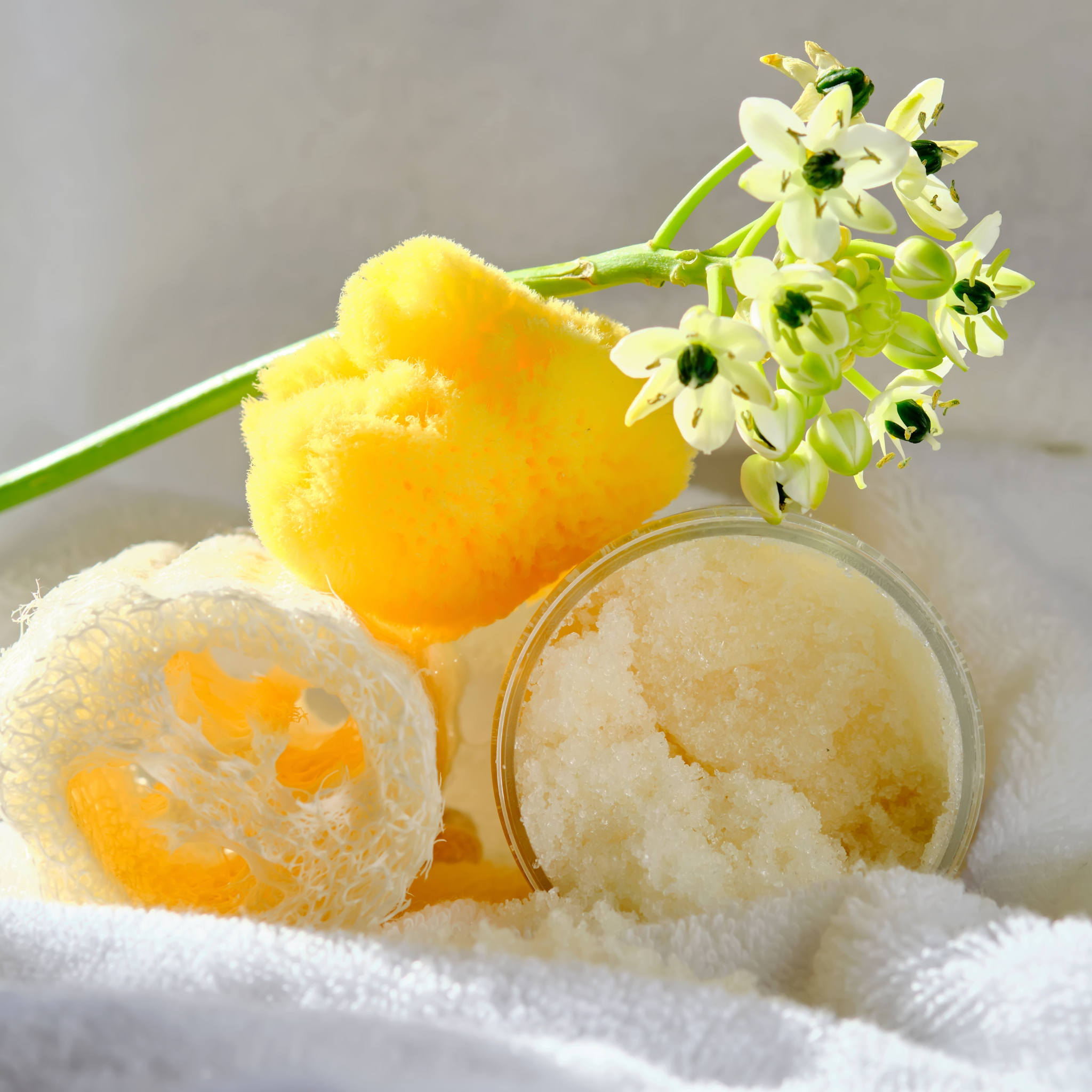 Florida Water Shea Butter
