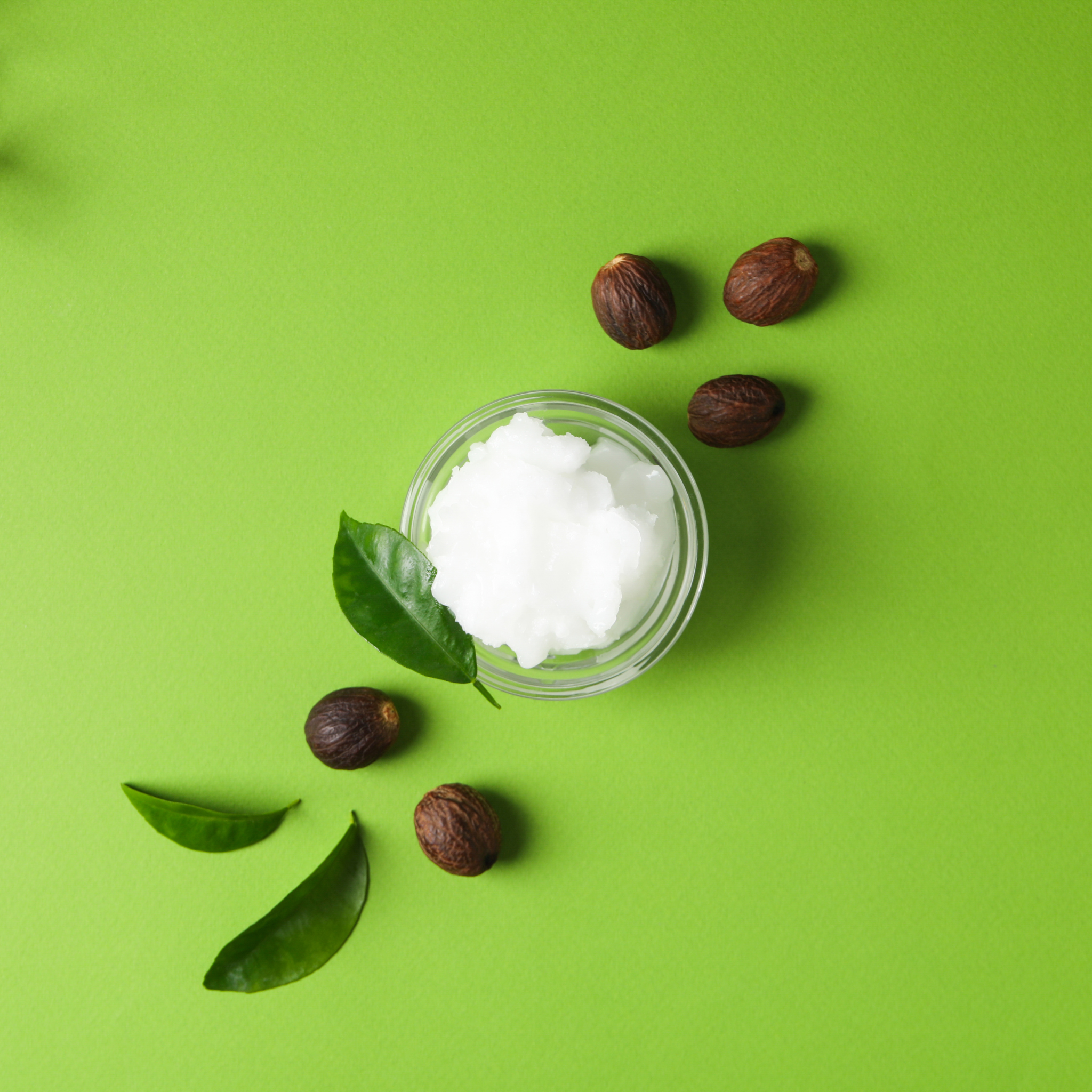 Tree of Life Shea Butter
