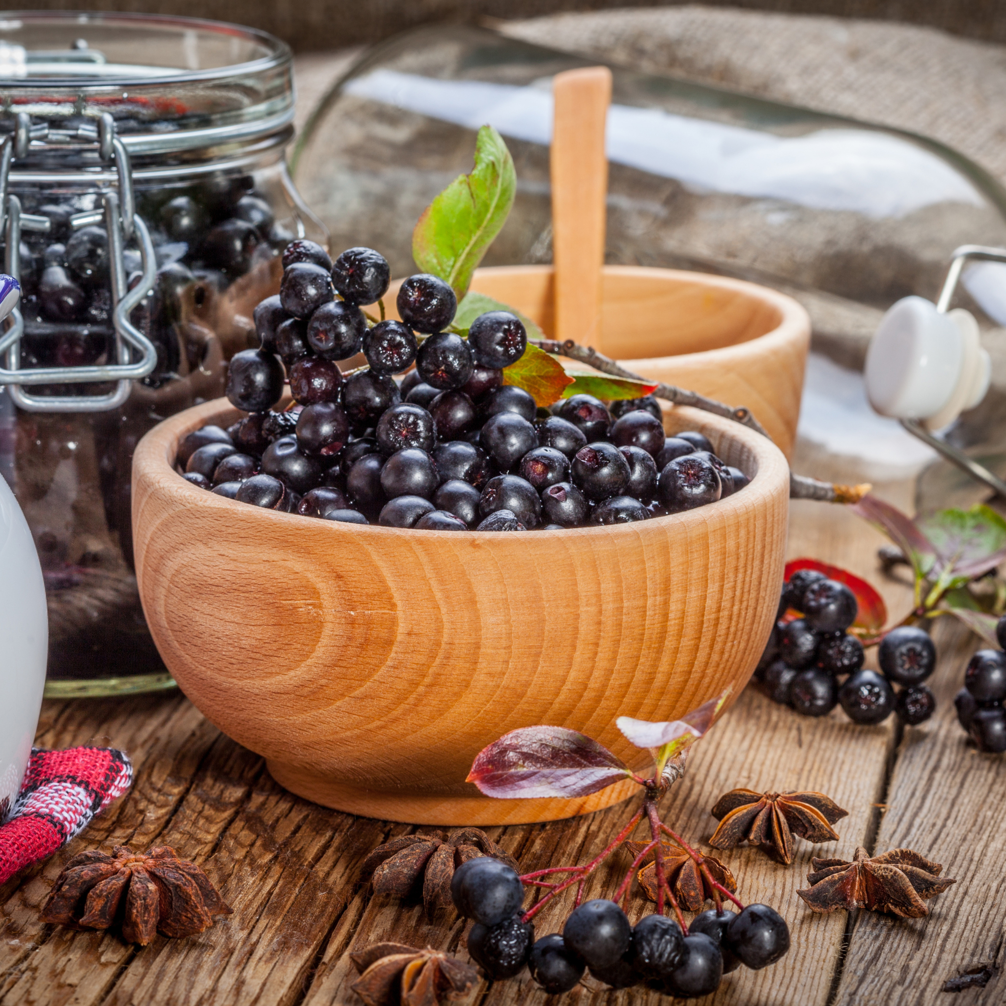 Elderberry Tincture