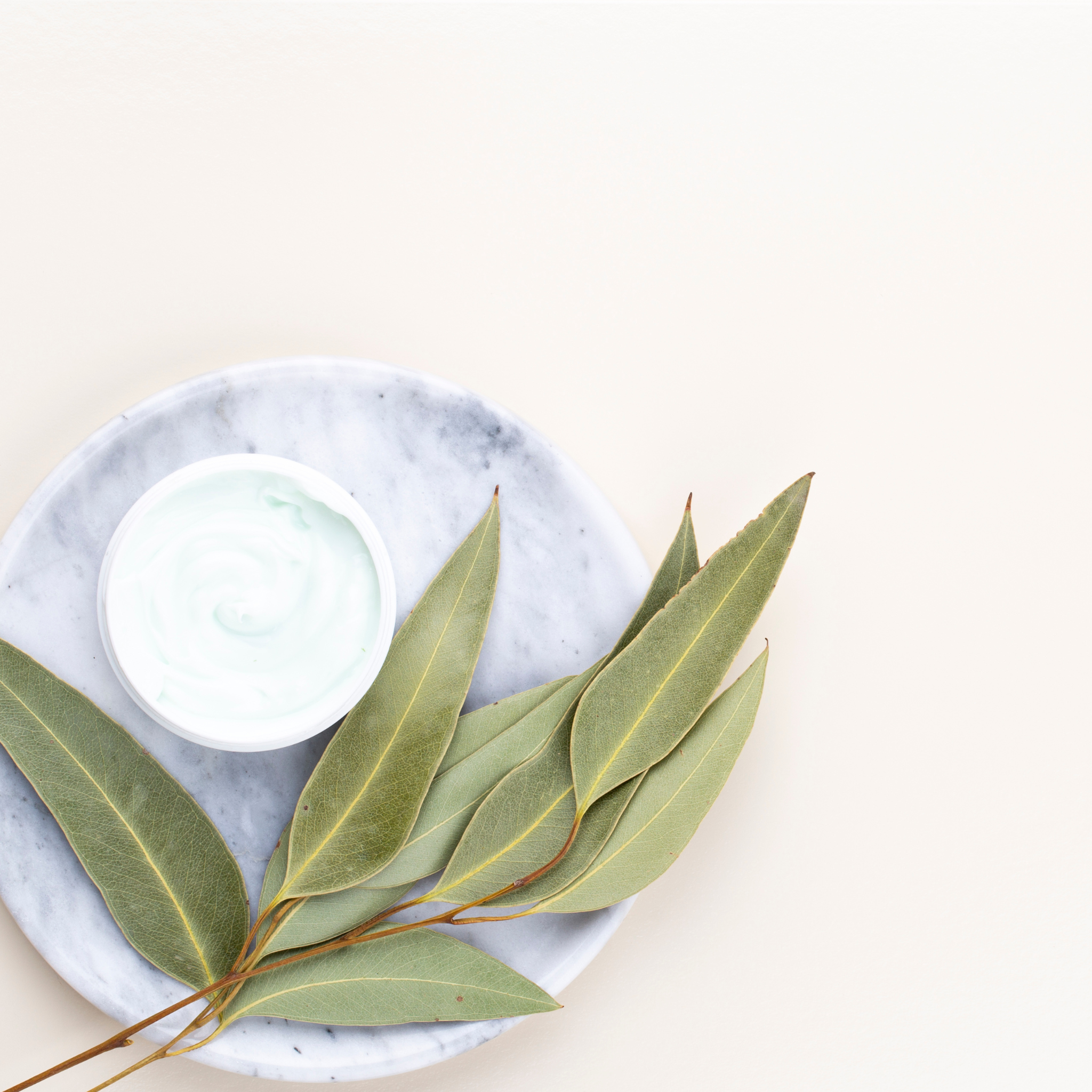 Tree of Life Shea Butter