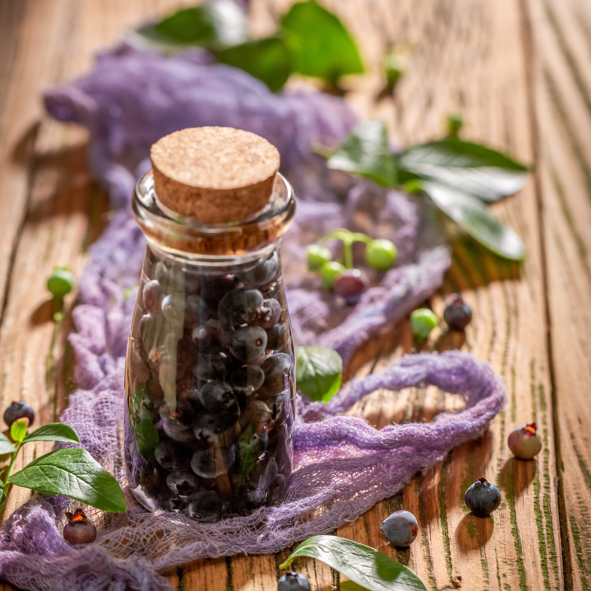 Elderberry Tincture